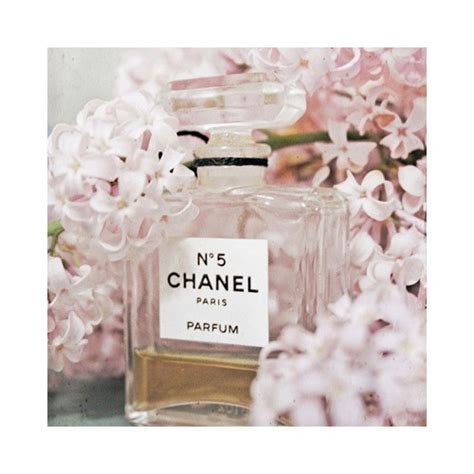 flowers and chanel perfume tumblr|chanel eau de parfum.